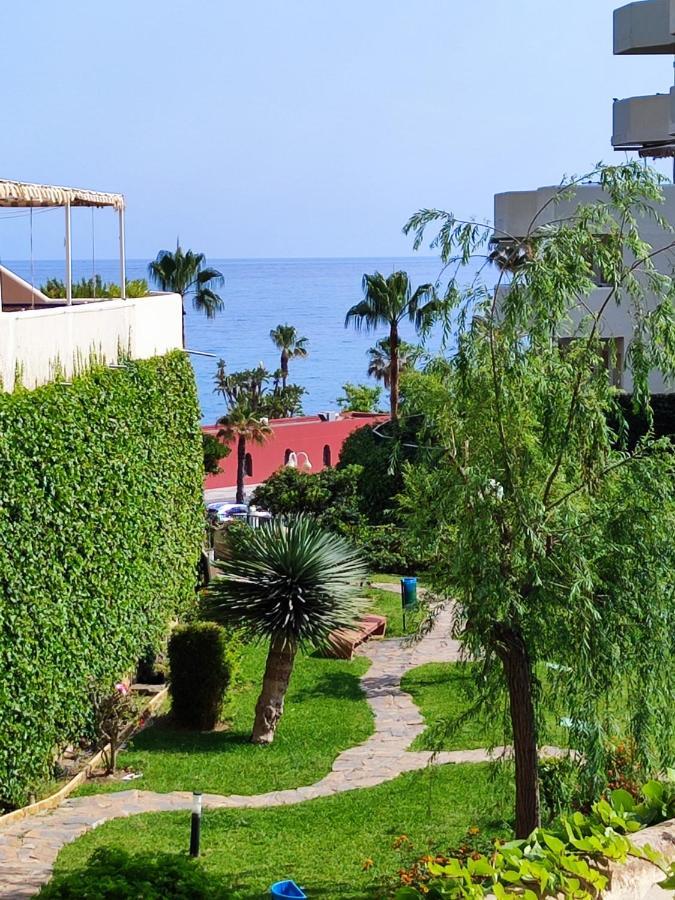 Apartamentos Benalbeach بينالماذينا المظهر الخارجي الصورة